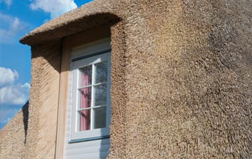 Adscombe thatch roof disadvantages